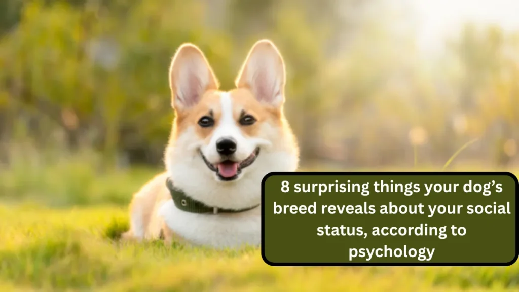 8 surprising things your dog’s breed reveals about your social status, according to psychology